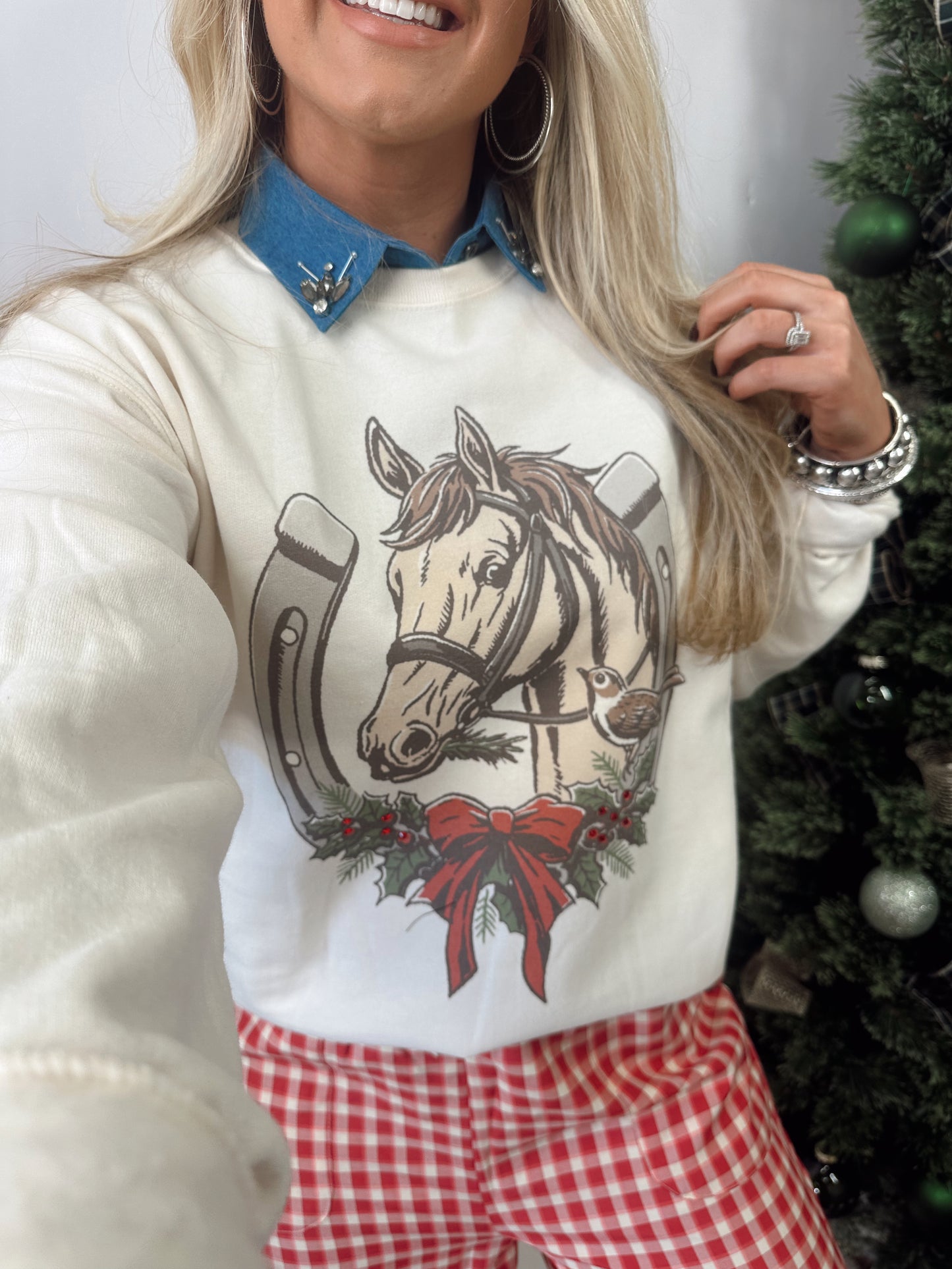 CHRISTMAS HORSESHOE SWEATSHIRT