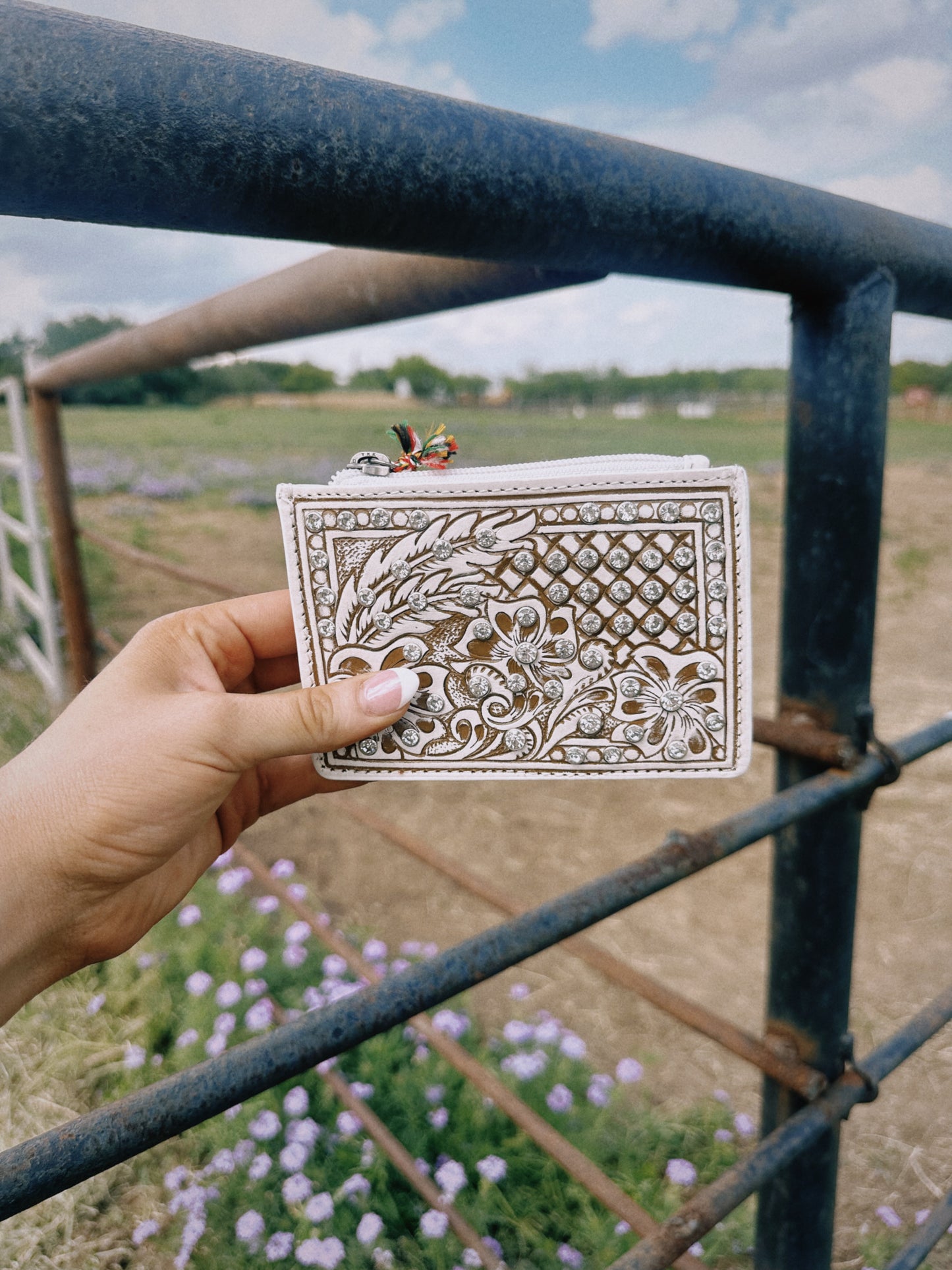 Sparkling Desert Moon Credit Card Holder