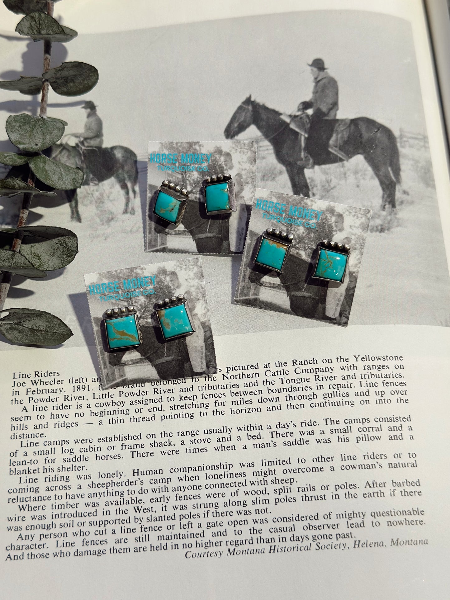 Kingman Turquoise Studs