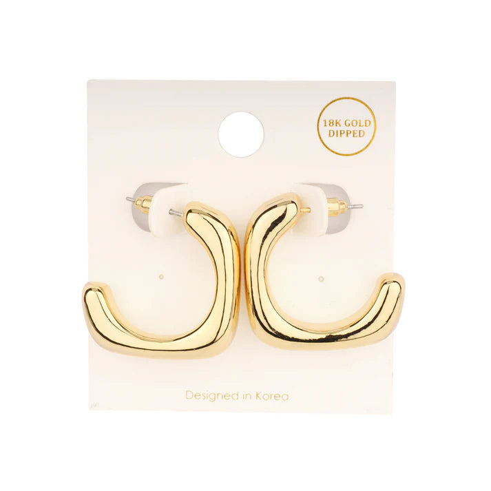 Ridge Earrings