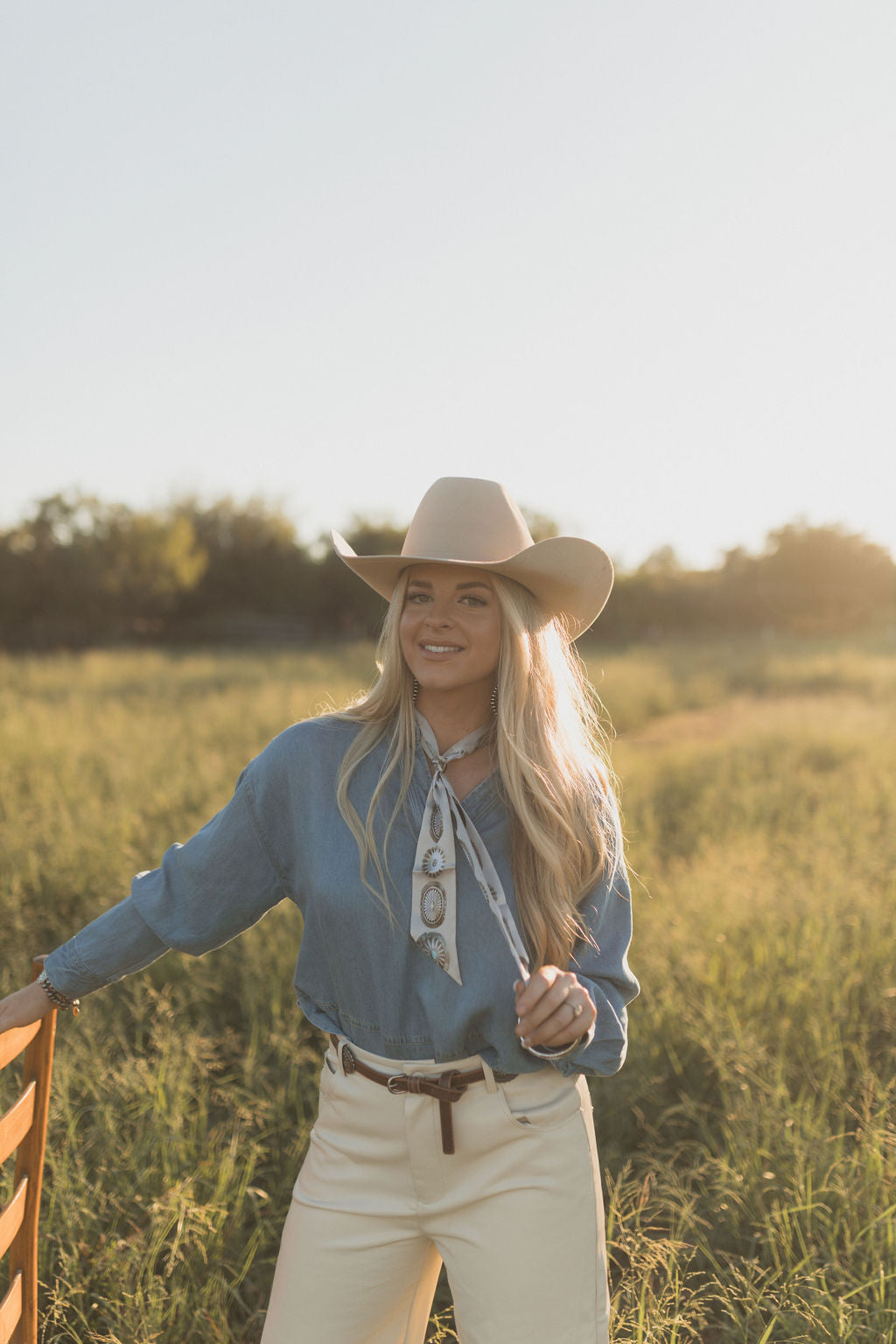 Bryn Denim Top