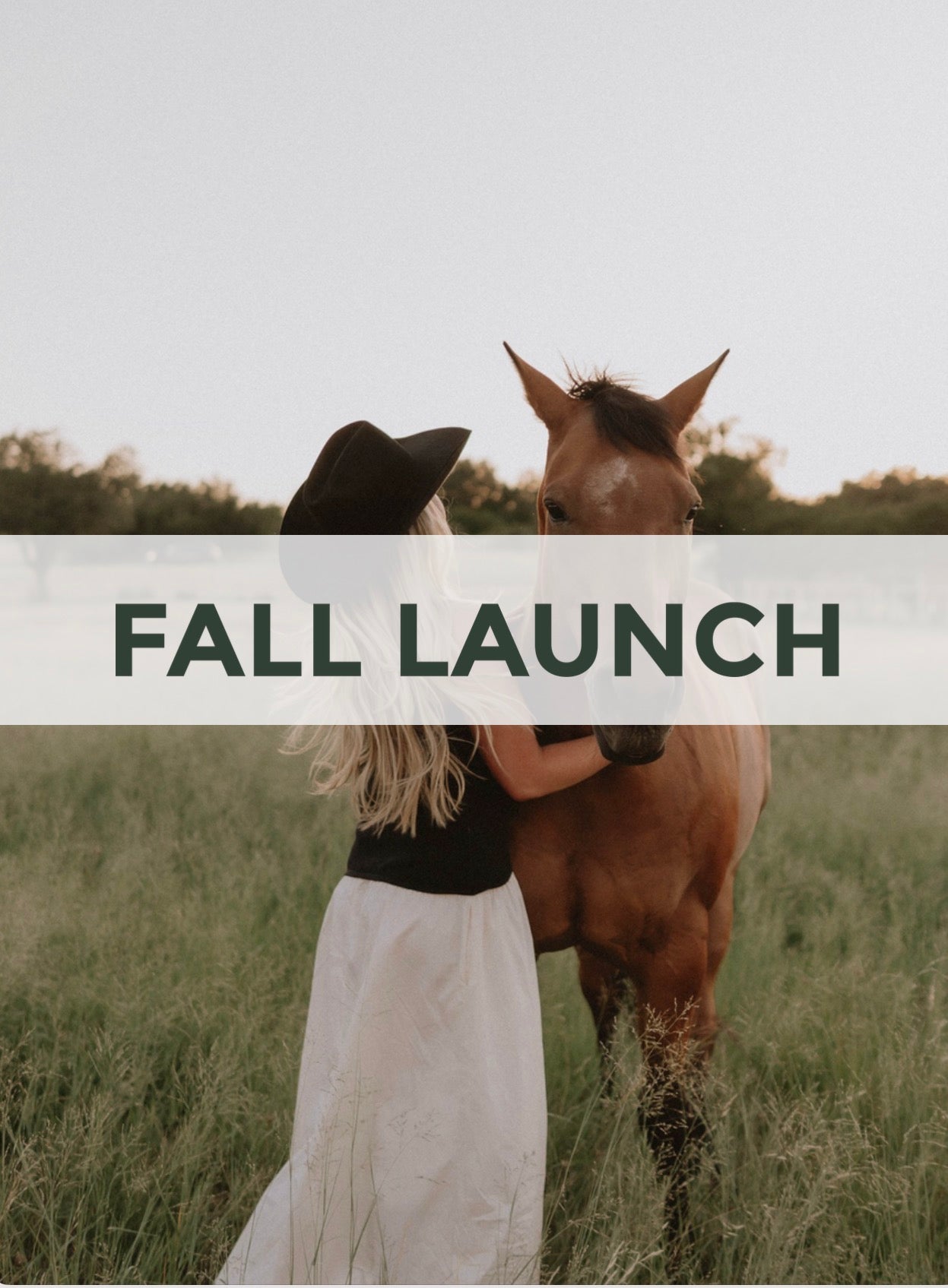 Fall Launch 2026