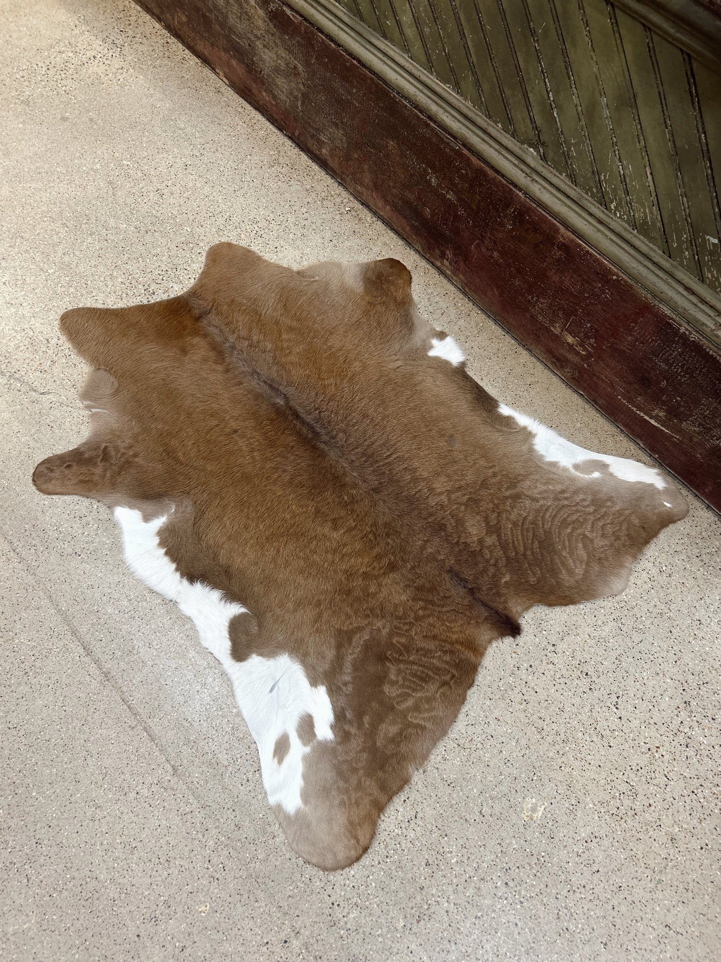 Calf hide #11