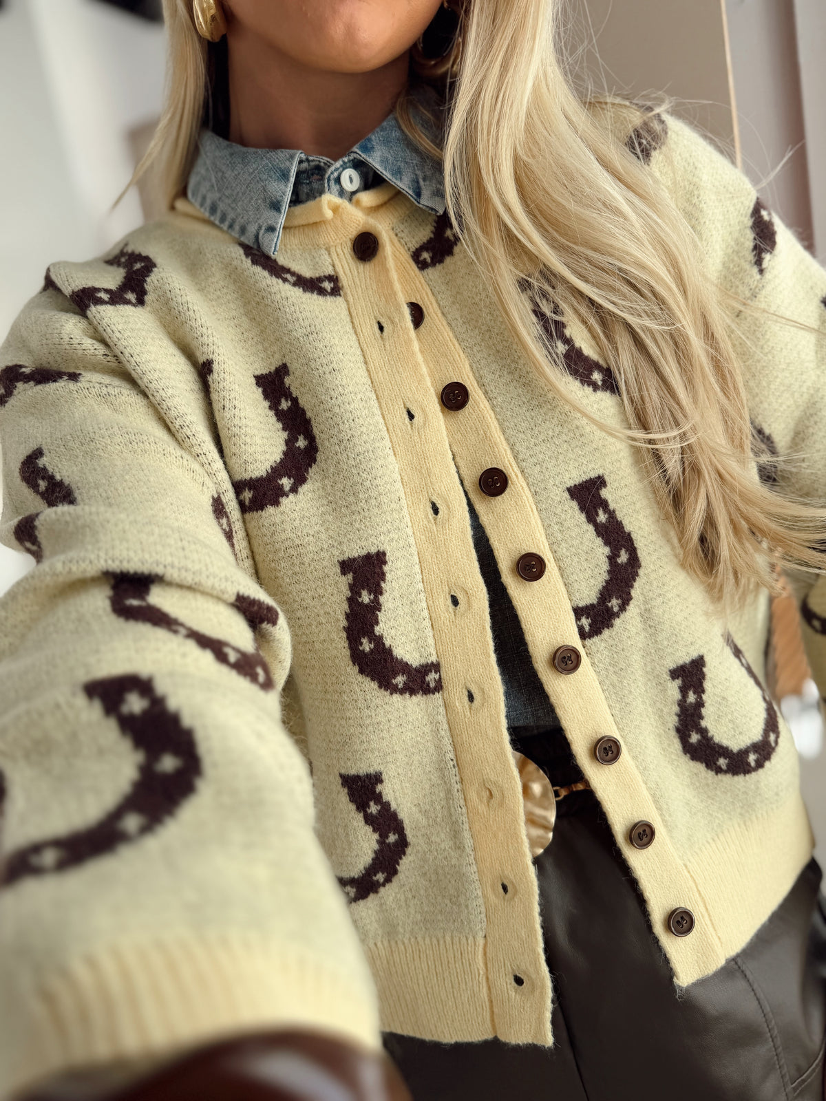 Horseshoe Cardigan