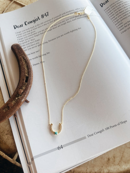 Authentic Cheyenne necklace