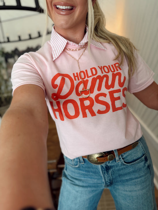 Hold Your DAMN Horses Graphic