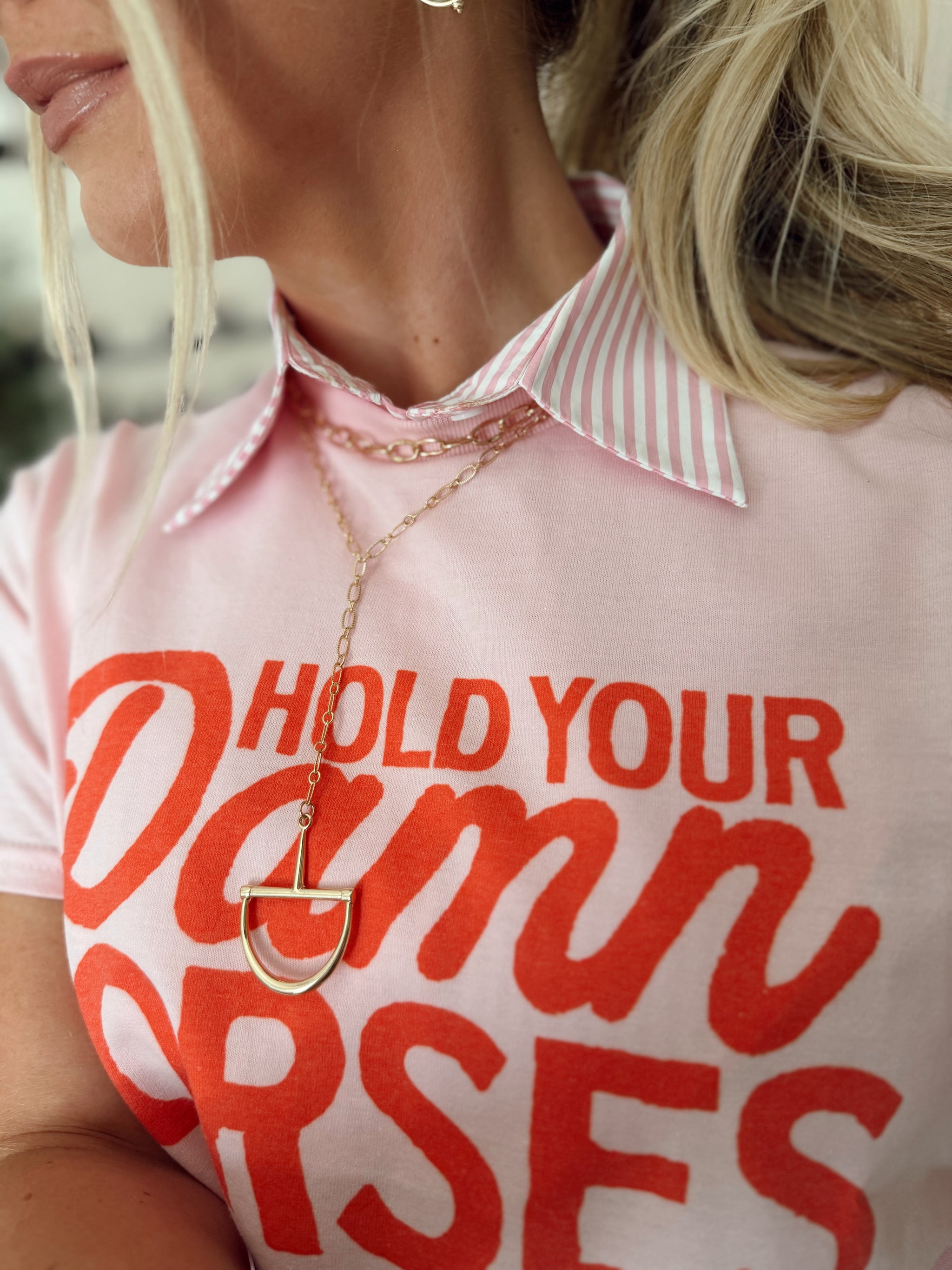 Hold Your DAMN Horses Graphic