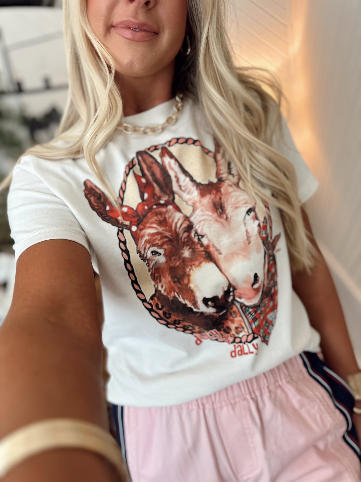 Dilly Dally Donkey Graphic