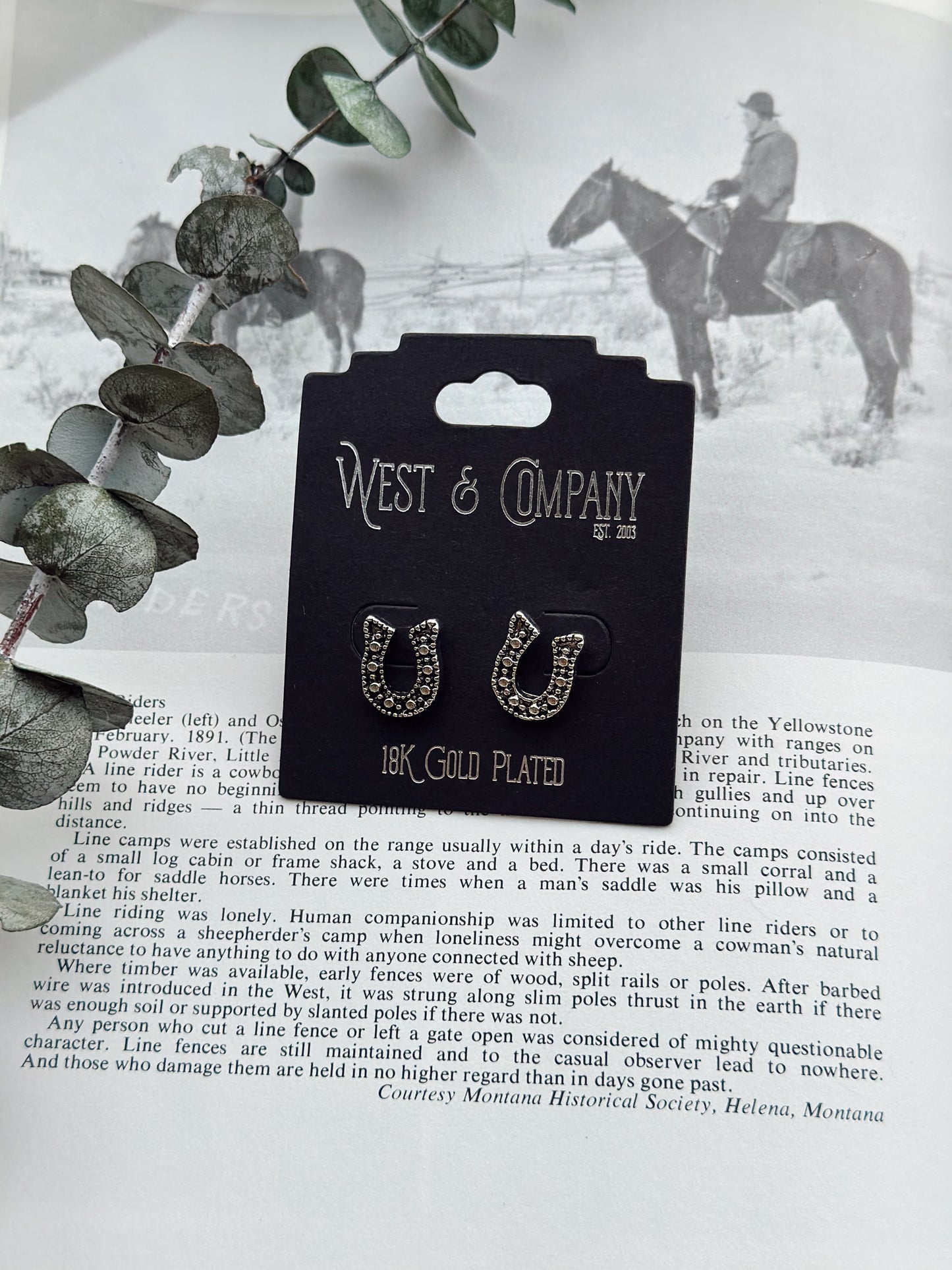 Tandy Horseshoe Earrings