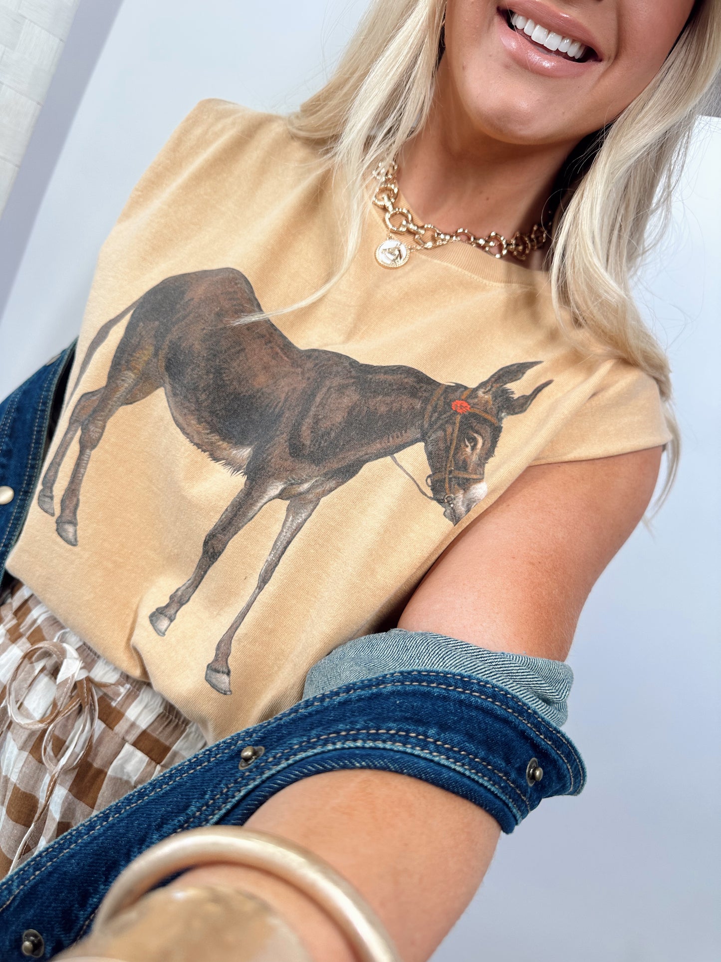 Vintage Donkey Tee