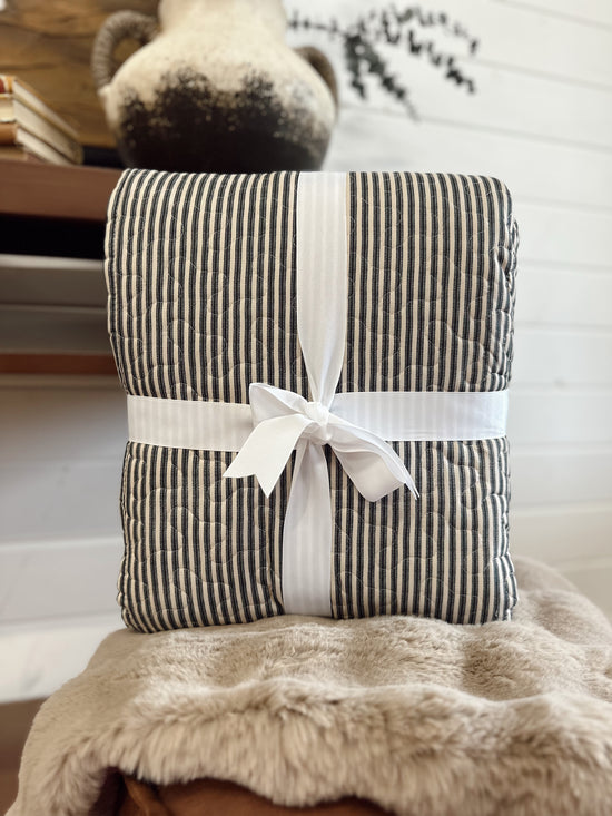 Ticking Stripe Linen/Black Euro Sham