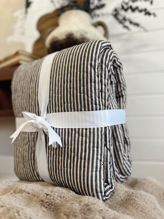 Ticking Stripe Linen/Black Euro Sham
