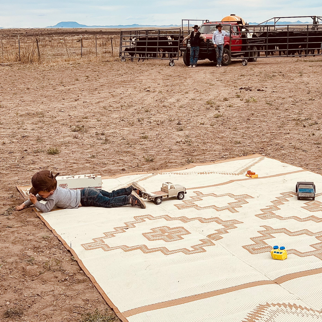 Ranch Rug Alpine