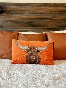 Longhorn Hook Pillow