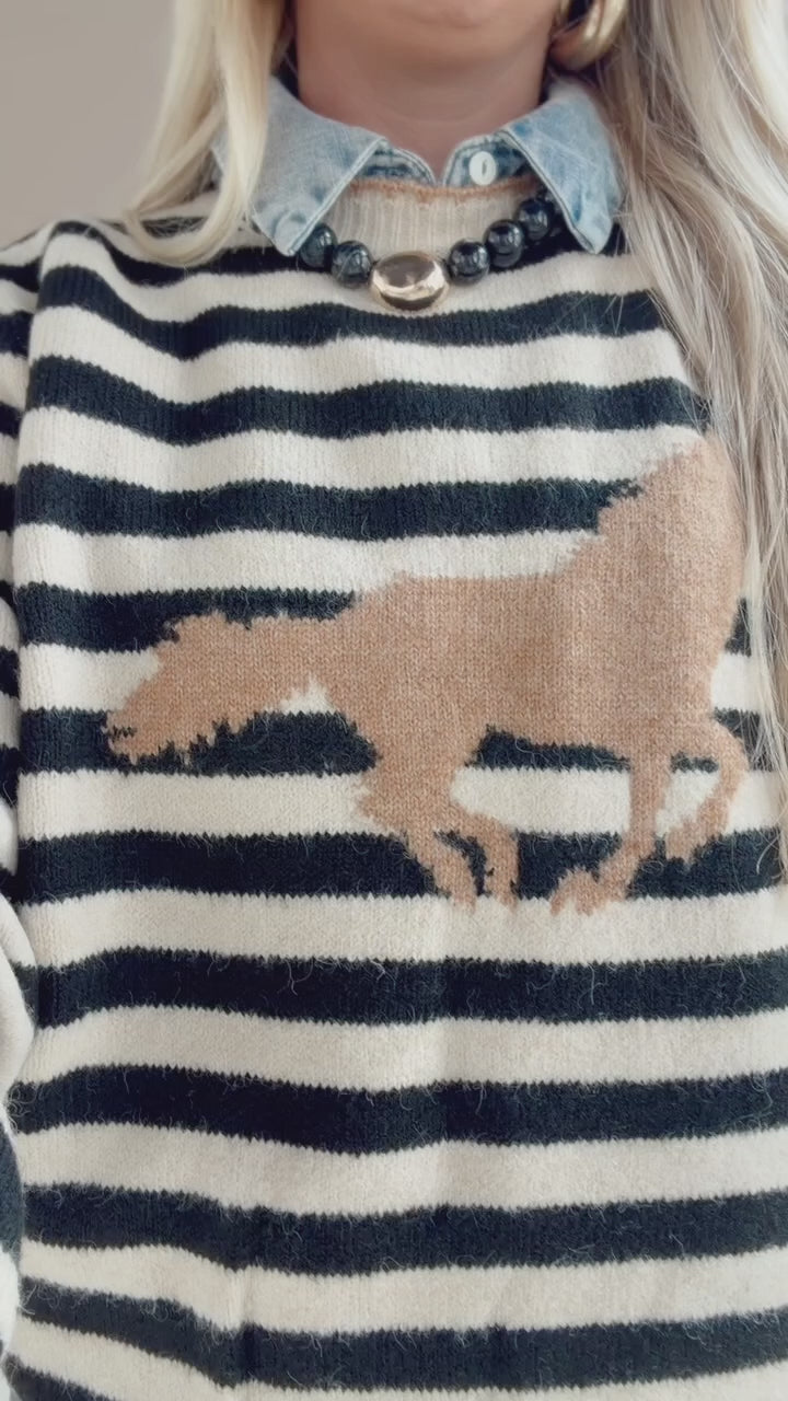 Racing Stripes Sweater